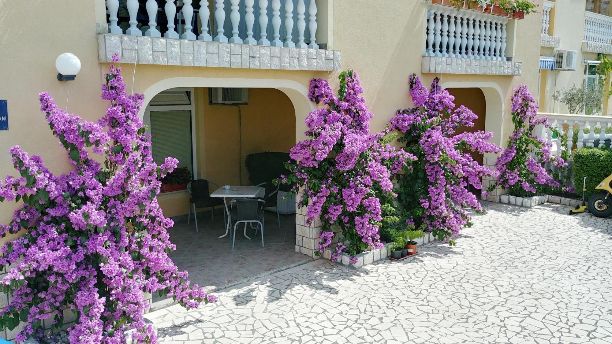 Apartments 3 Palms Crikvenica Kültér fotó